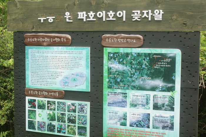 무릉도원올레 이미지