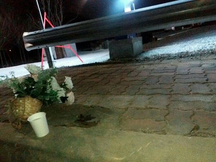 창녕 매실이 이야기를 아시나요?개소주가 되어서 돌아온 우리 매실이를 기억해주세요. 동물보호법강화를 위해 관심가져주세요 | 인스티즈
