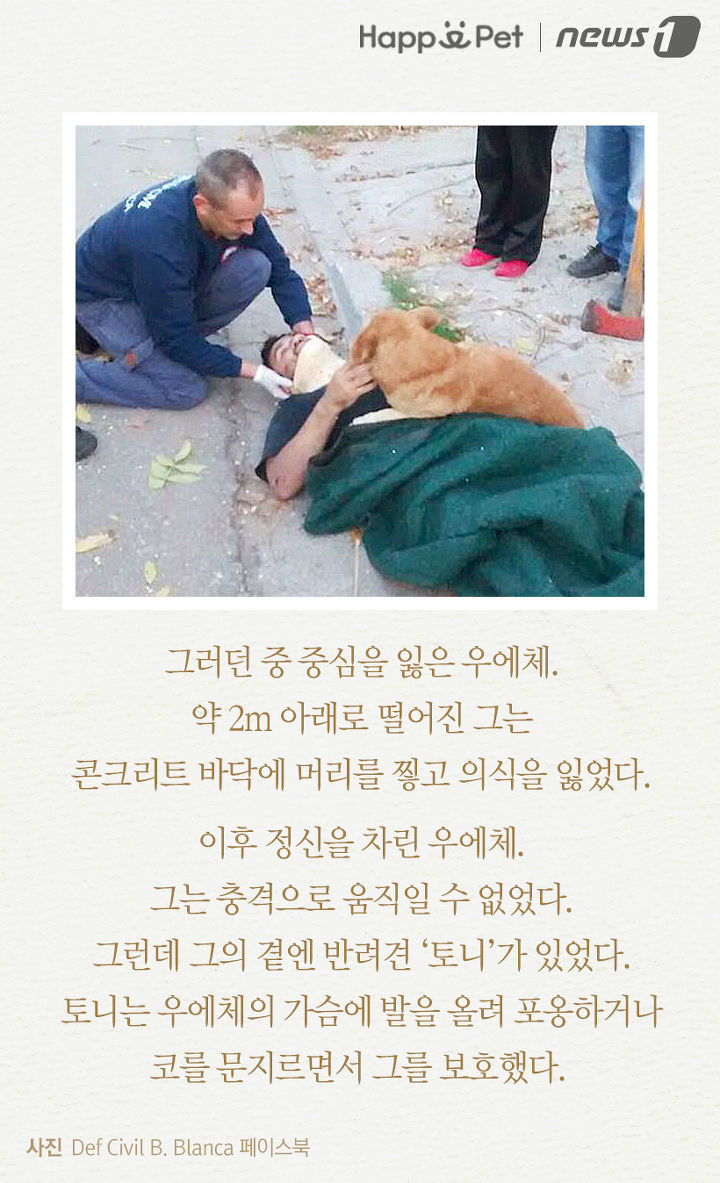 내 주인님 좀 살려주세요ㅜㅜ | 인스티즈
