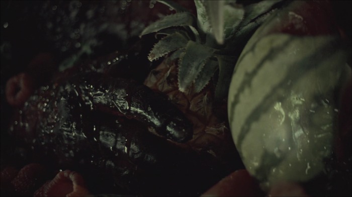 [로맨틱스릴러미드] 한니발 (Hannibal) 시즌3 에피6 (1/4) | 인스티즈