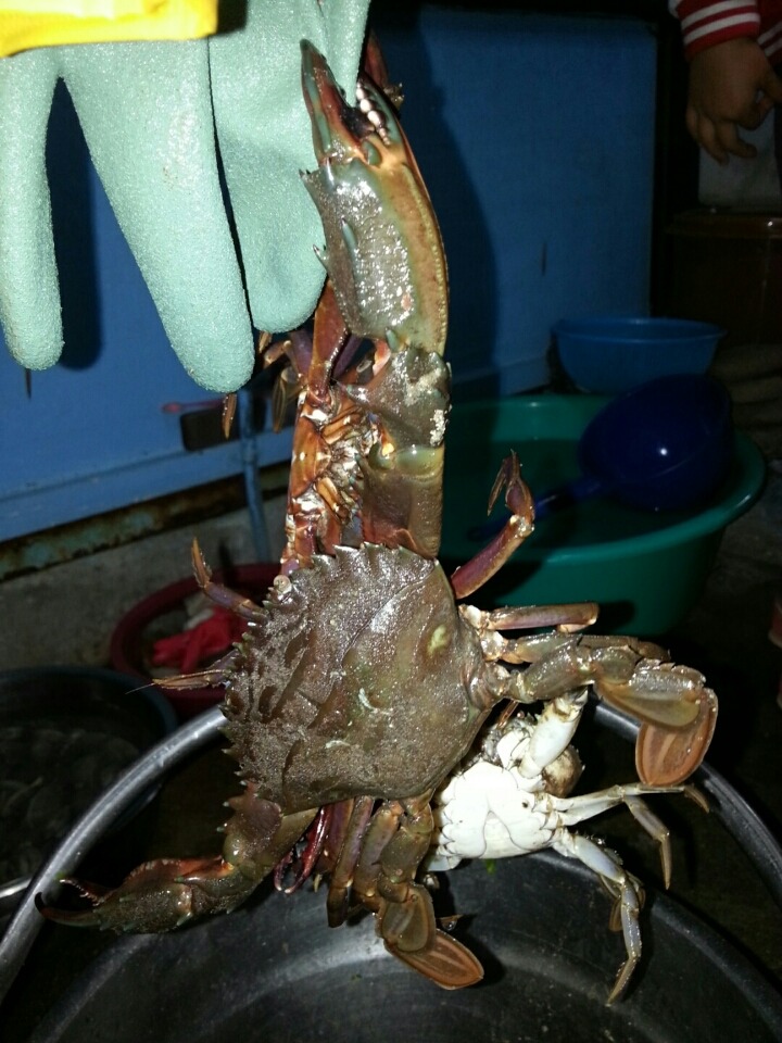 안면도민박 이미지
