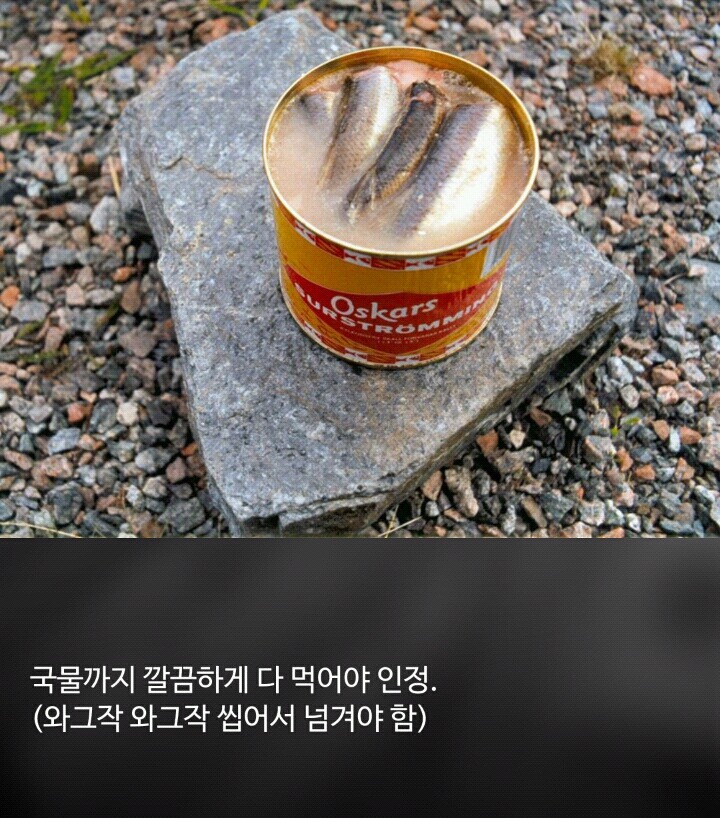 1억미션 여러분의 선택은? | 인스티즈