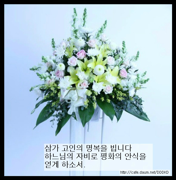 오딜리아 이미지
