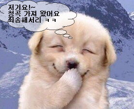 더어 이미지
