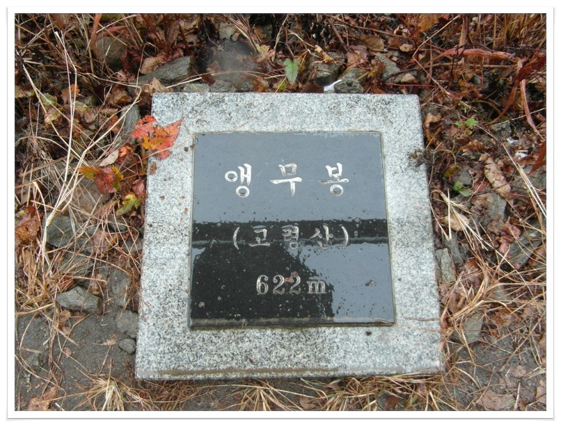 앵무봉 이미지