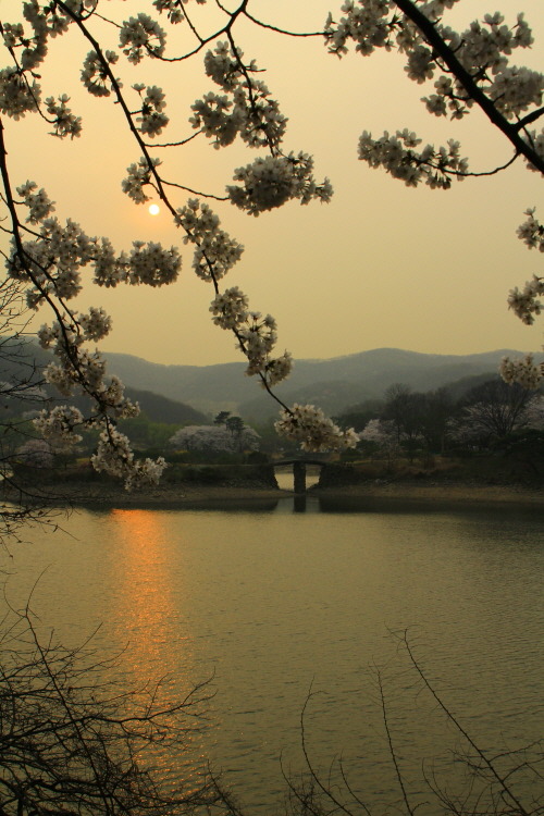 희원 이미지