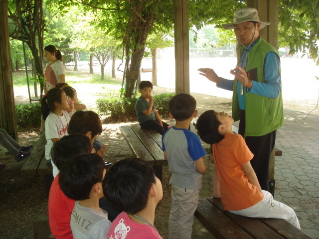 구산초등학교 이미지