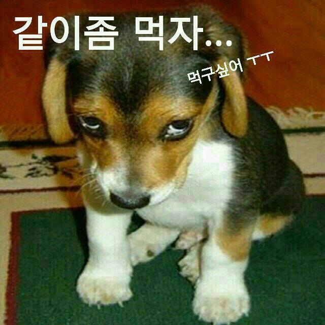 먹자 이미지
