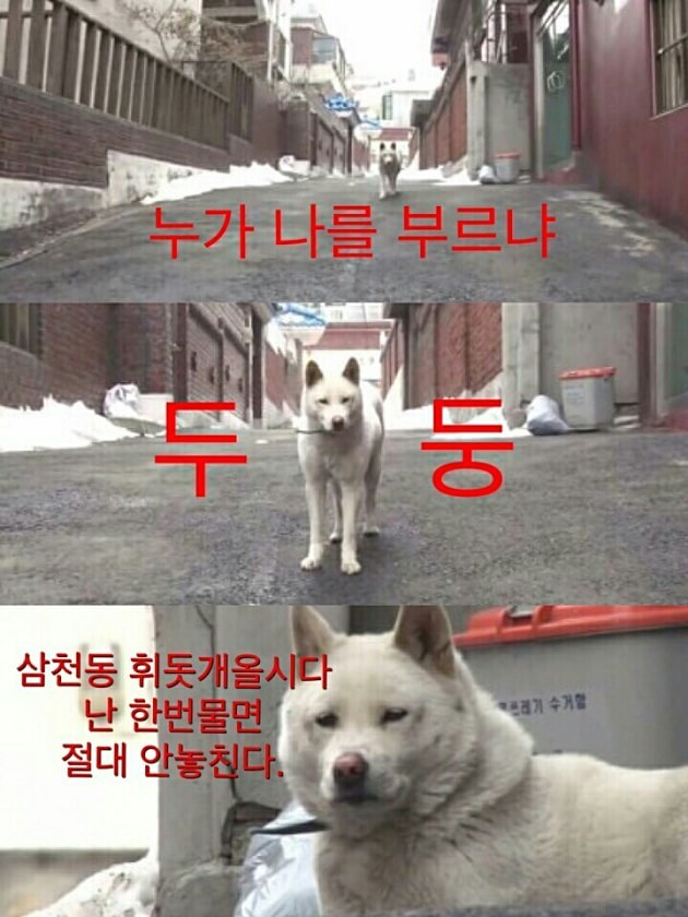 같이 이미지