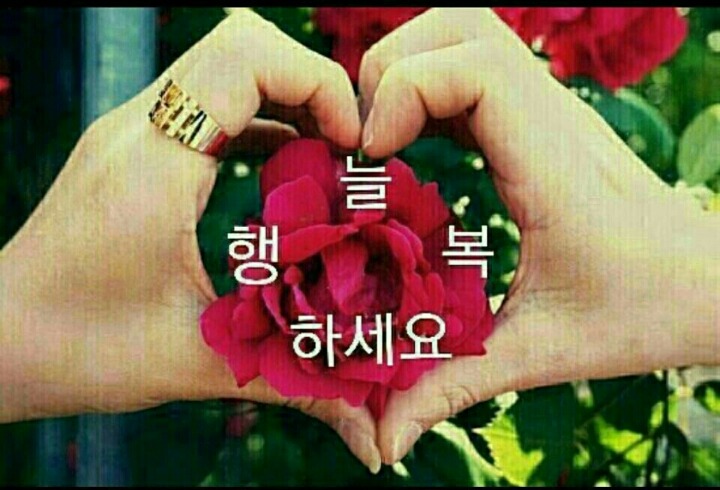 봄소리 이미지