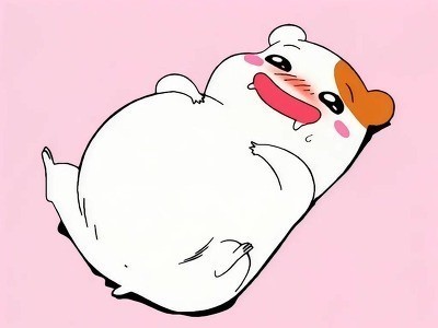 낭 이미지