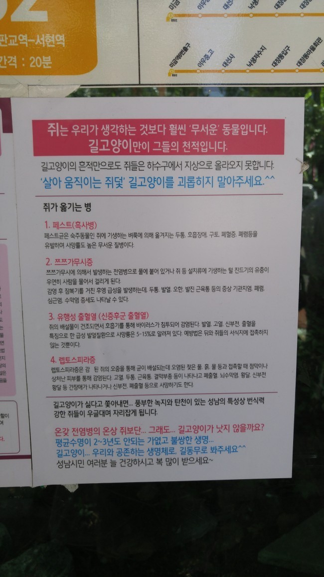 길고양이가 중요한 이유.jpg | 인스티즈