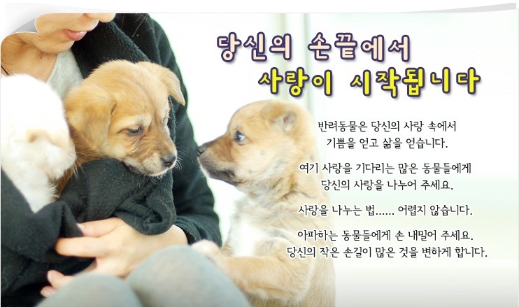 손끝사랑 이미지