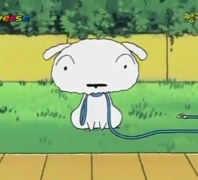 [고르기] 200만원내고 흰둥이 키우기 or 200억받고 오수키우기 | 인스티즈