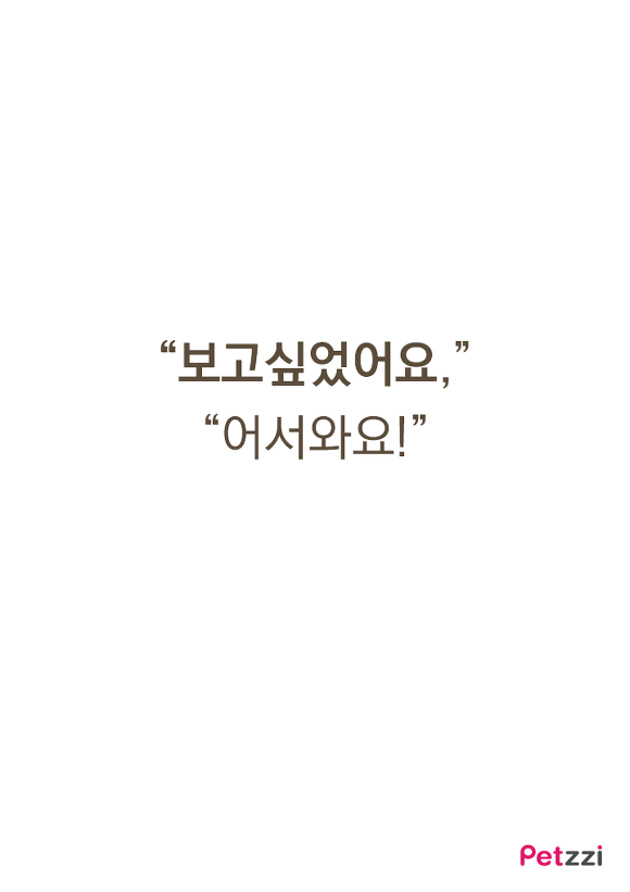 고양이가 긁는 이유(만화).jpg | 인스티즈