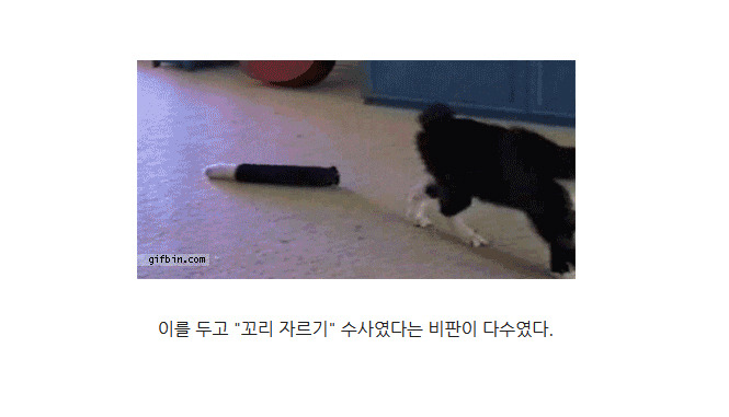 새누리당의 시작 | 인스티즈