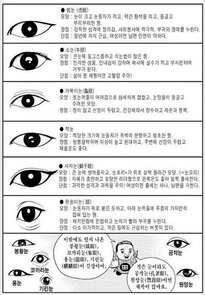 재미로 보는 눈 관상.jpg | 인스티즈