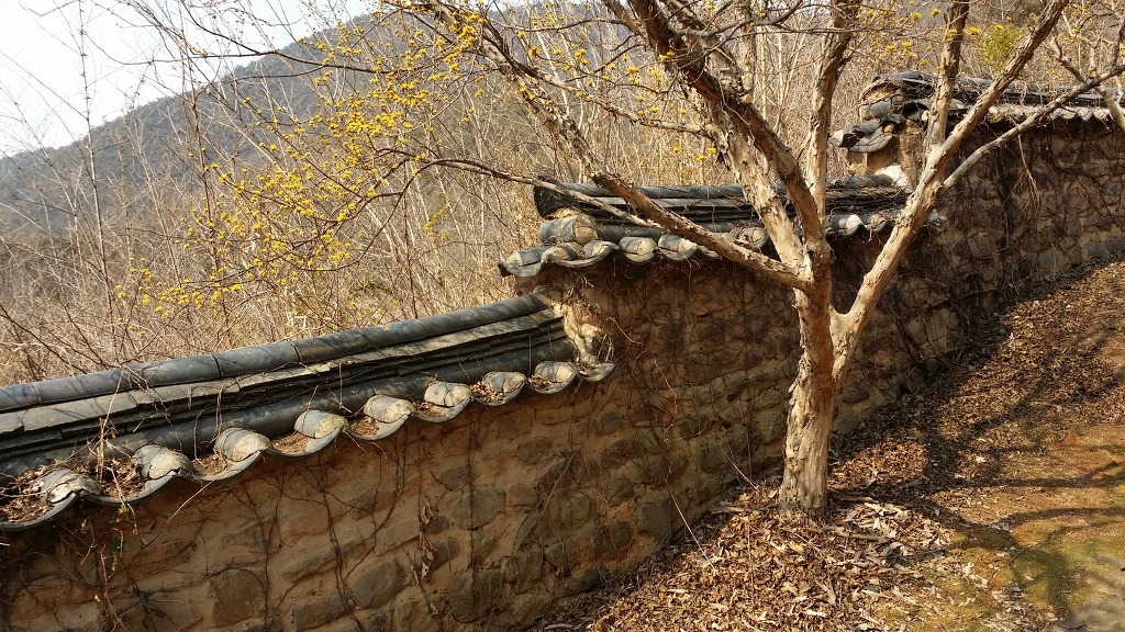 뒷뜰정자식당 이미지