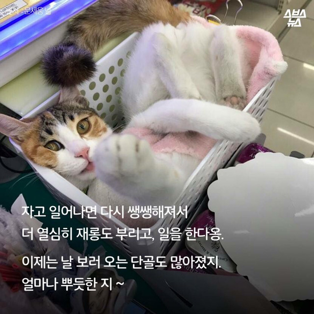 편순이 처음 보냥? | 인스티즈