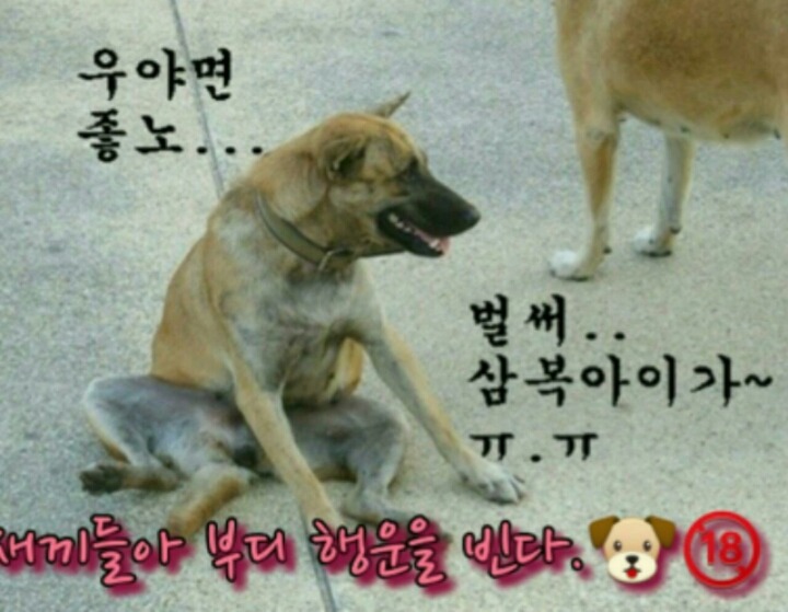 복 이미지