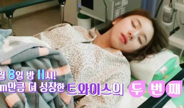 [트와이스] 아기맹수 자는법 | 인스티즈