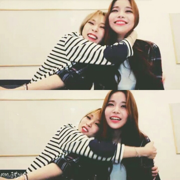 별콩 이미지