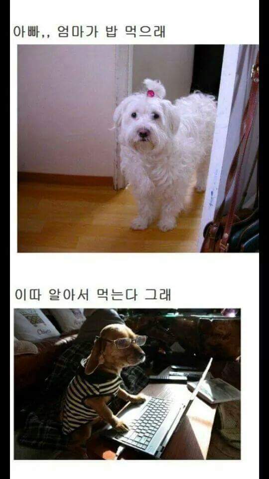 밥먹으래 | 인스티즈