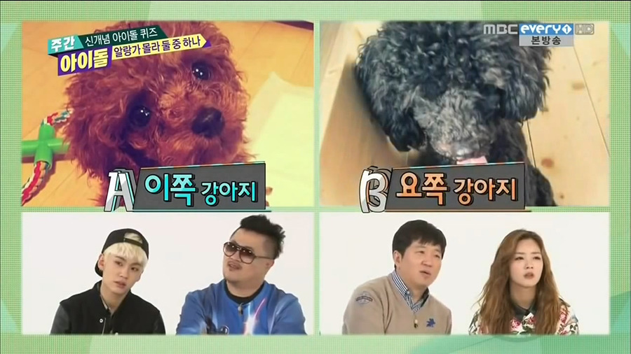 [주간아이돌] 개인적으로 제일 재미있게 봤던 코너 | 인스티즈