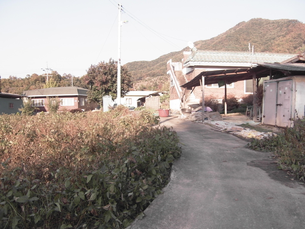 힐링충주 이미지