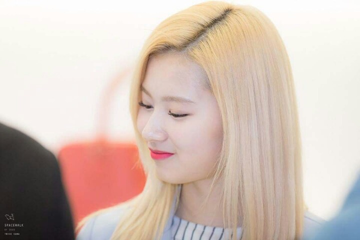 샤니빵 보다는 사나 | 인스티즈