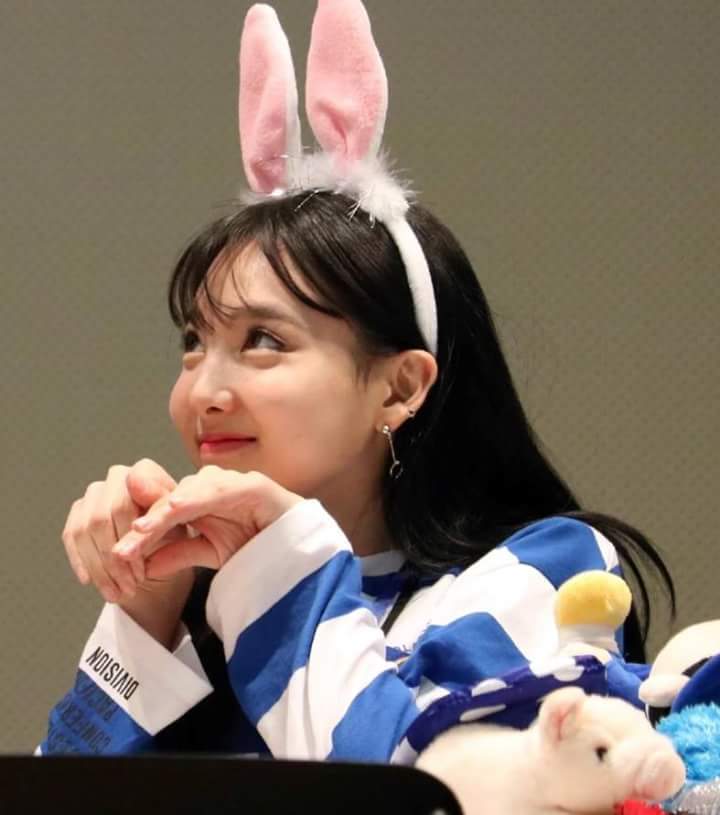 반도장 이미지