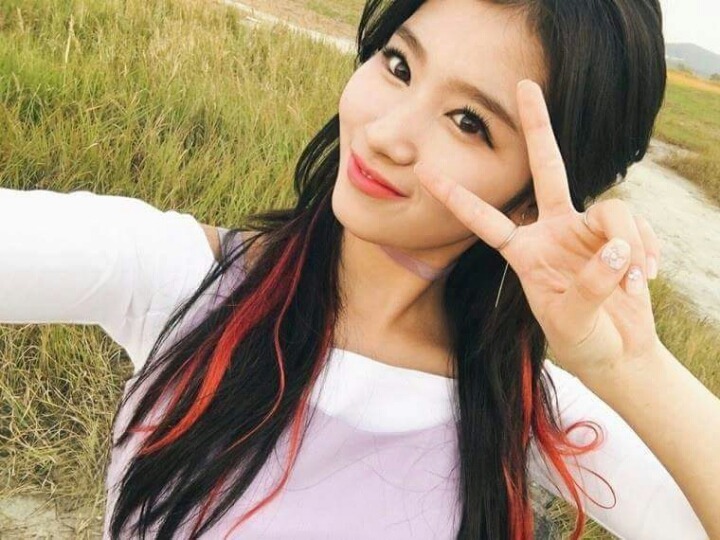 사나 시나 | 인스티즈