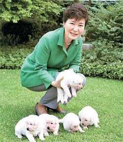 박근혜가 키우던 강아지들 | 인스티즈