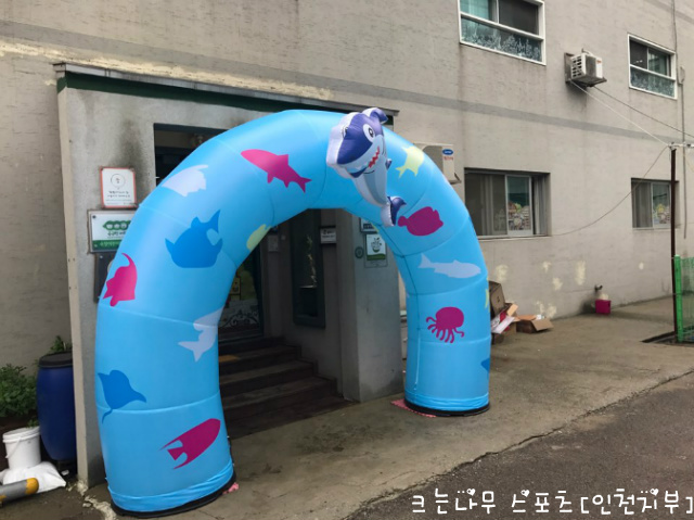 수정스포츠 이미지