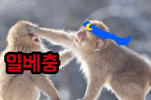 [New] 일베충 단어 뺏어오기 | 인스티즈