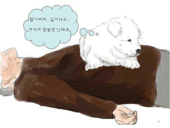 치매 할아버지를 구한 풍산개 | 인스티즈
