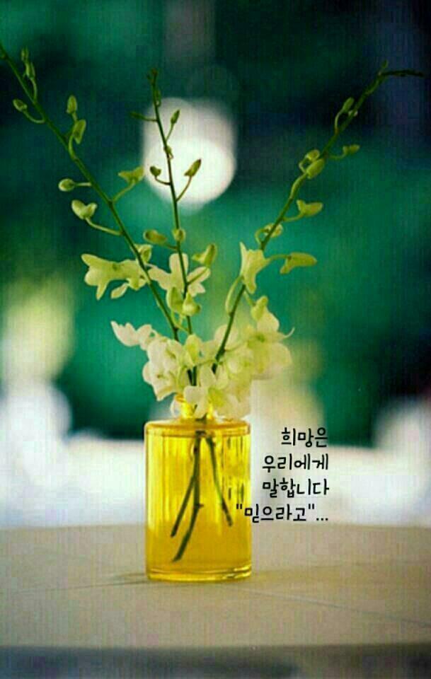 익어가다 이미지