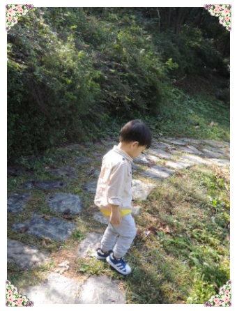 청사초롱 유아숲체험원 이미지