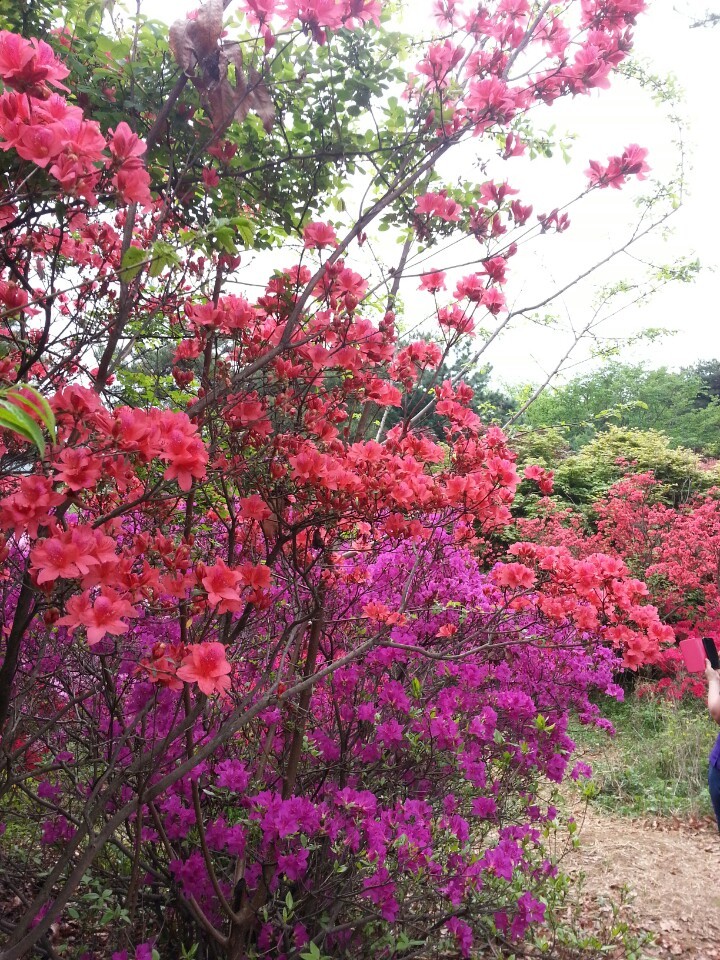 석화촌 이미지