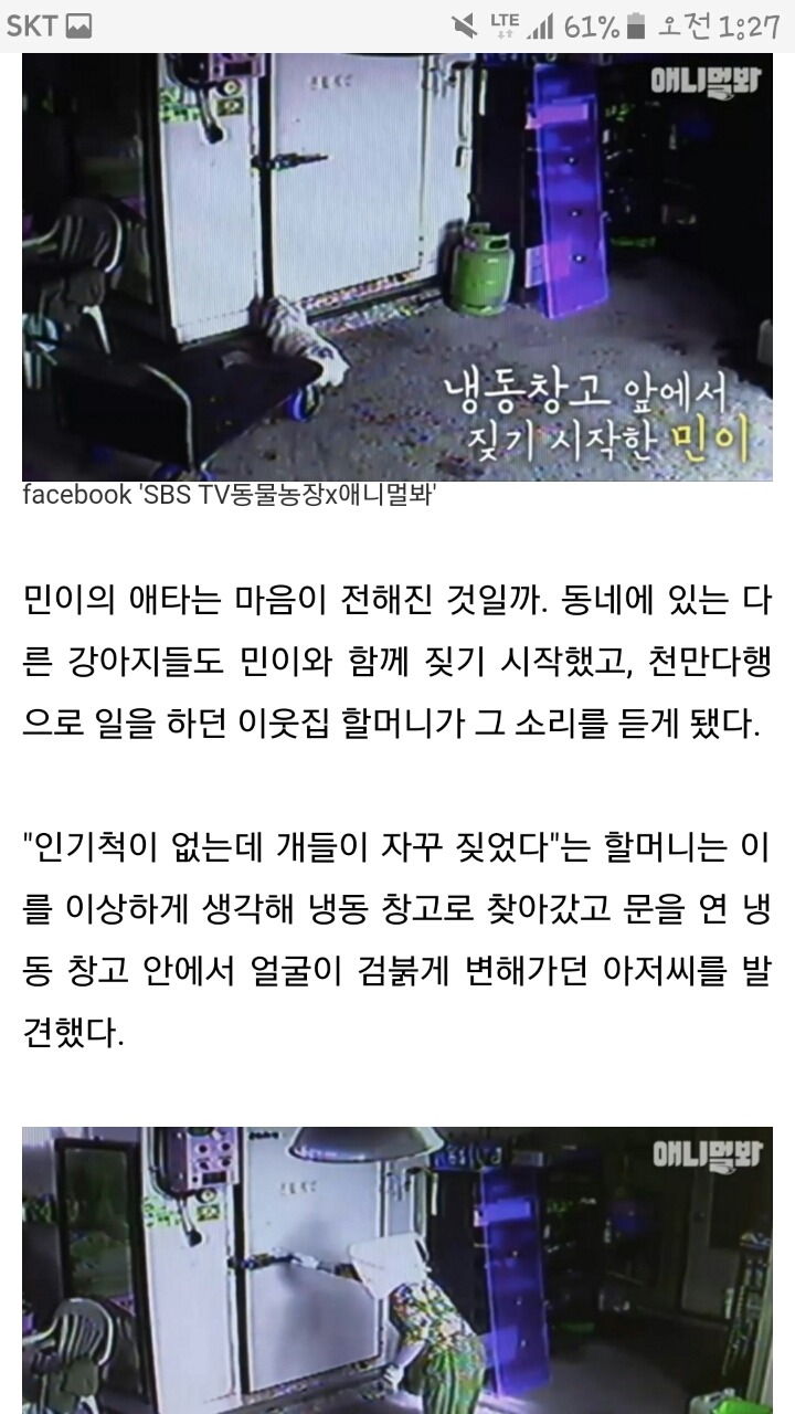 하루 종일 짖어 냉동 창고에 갇힌 주인 구한 강아지 | 인스티즈