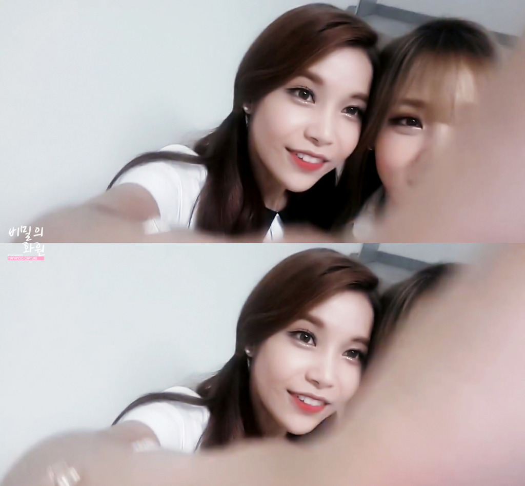 별콩 이미지