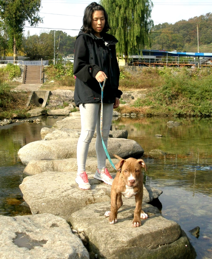 소영이네 이미지
