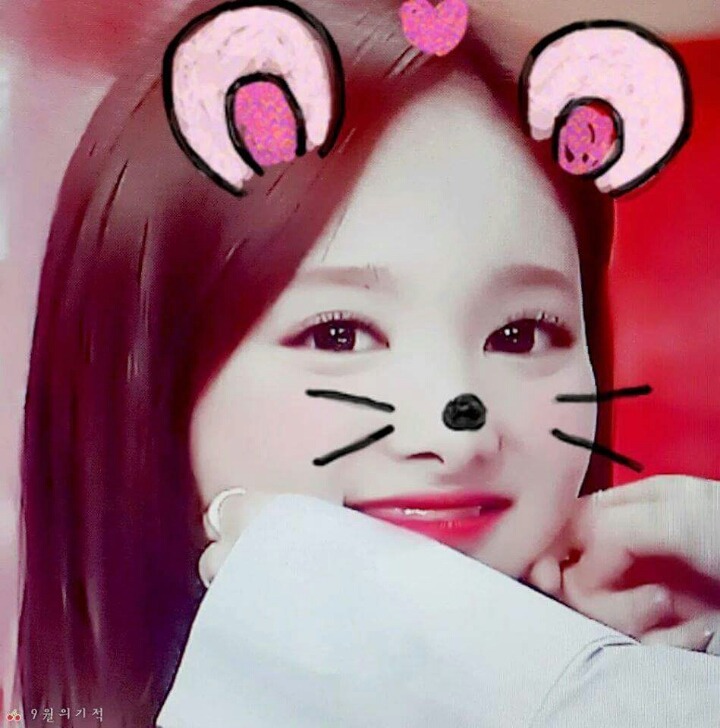 트와이스 토끼 나연 | 인스티즈