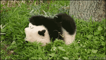 난 아무 생각이 없다 .GIF | 인스티즈