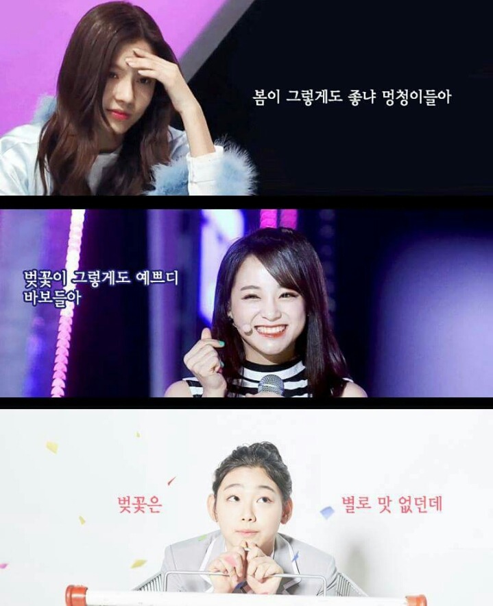 [덕사주의] 강남구 수식어 붙여줘야하는 규티섹시퓨리 강미나 | 인스티즈