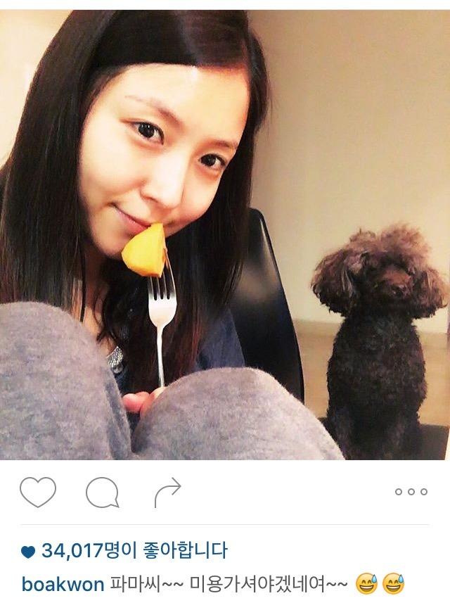 보아 인스타 | 인스티즈
