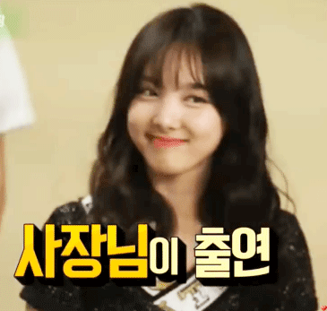 [트와이스] 연예가 중계 나연,다현,미나,쯔위 움짤 | 인스티즈