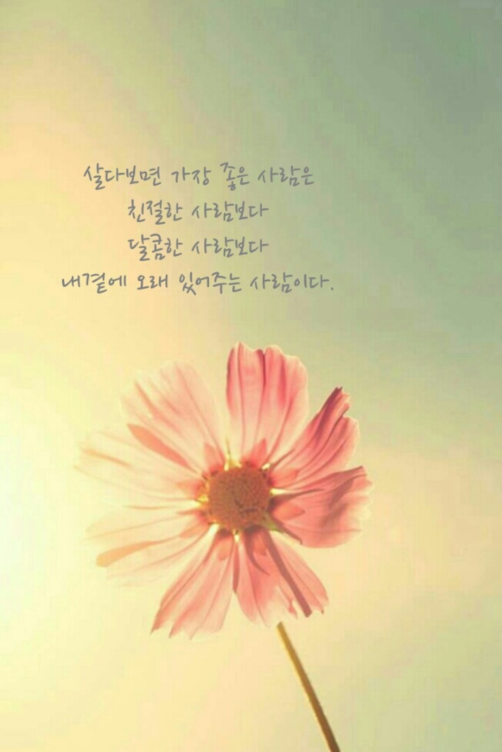 드르와 이미지