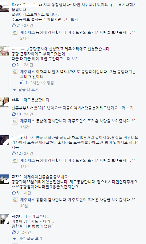 결항으로인한 숙소난 이에 응답하는 훈훈한 제주sns | 인스티즈
