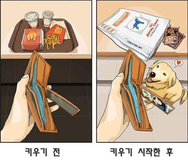 애완동물 키우기 전과 후 | 인스티즈